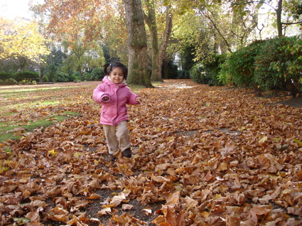 11 Nov 3.jpg